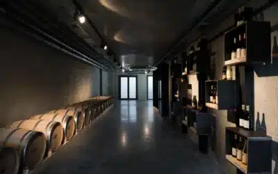 Gai-Kodzor: the legend of winemaking on the shores of the Black Sea